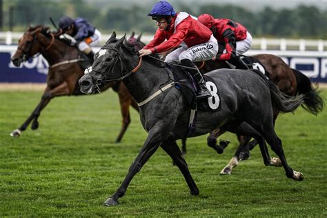 fast horse results today|Horse Racing Results for Today .